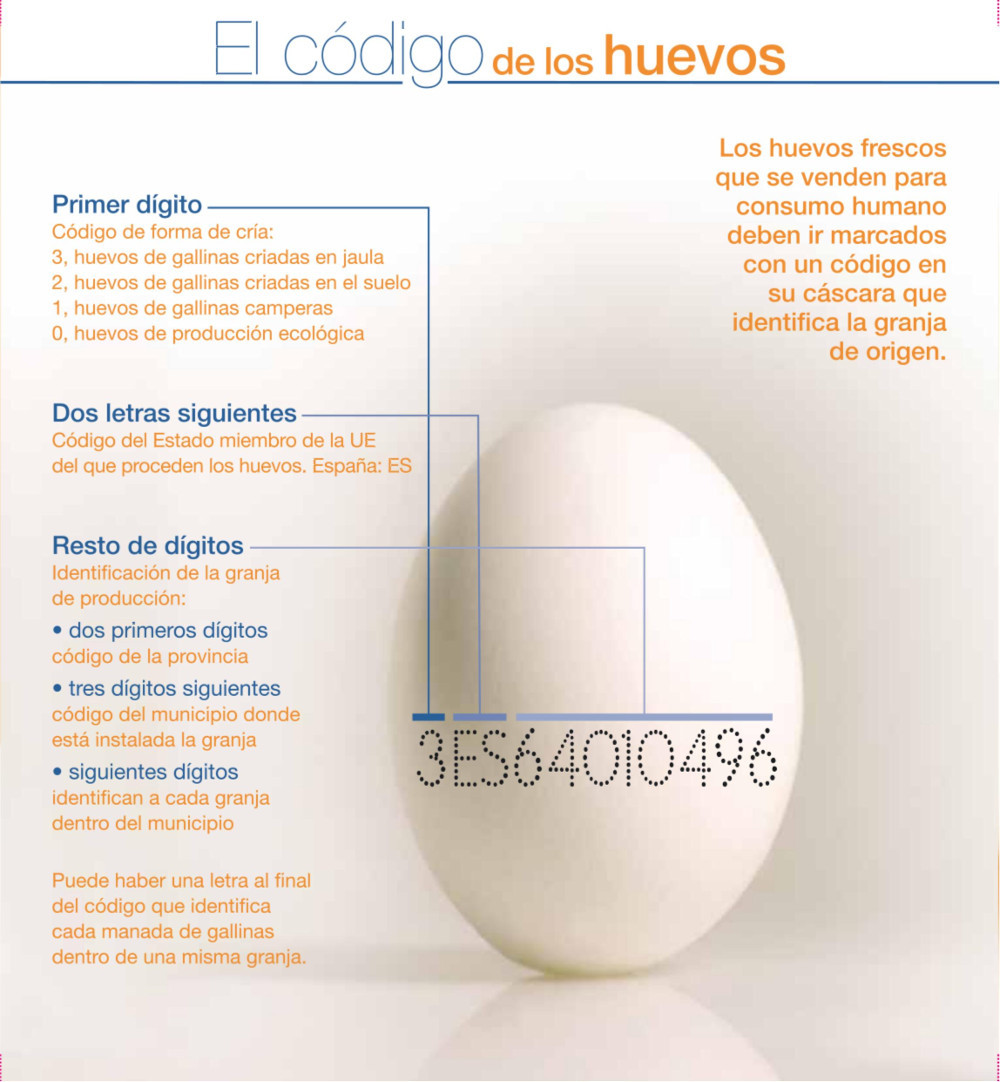 los numeros de los huevos y fisiomuro