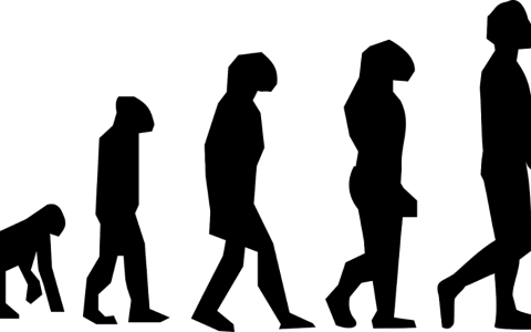 modificaciones geneticas y fisiomuro02