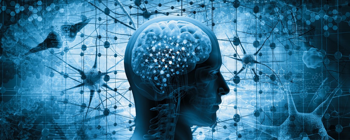 neuromarketing y fisiomuro